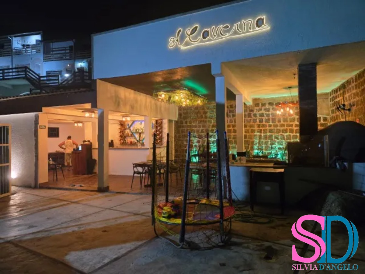 Casa, 12 quartos, 1500 m² - Foto 14