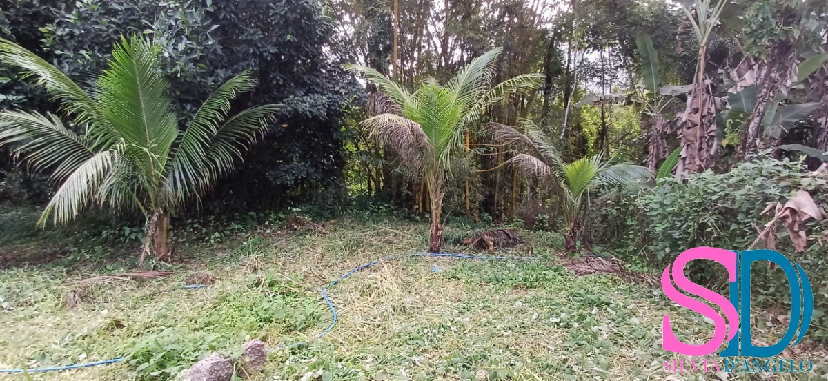 Casa à venda com 2 quartos, 60m² - Foto 10