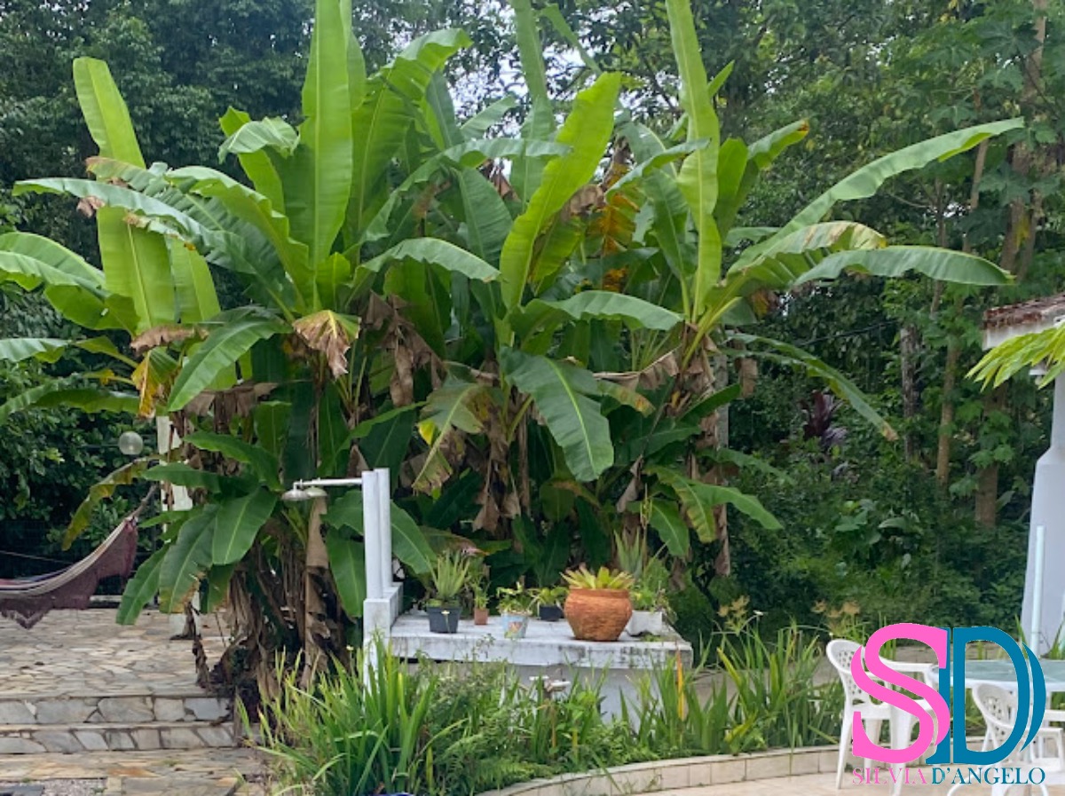 Casa, 9 quartos, 500 m² - Foto 43