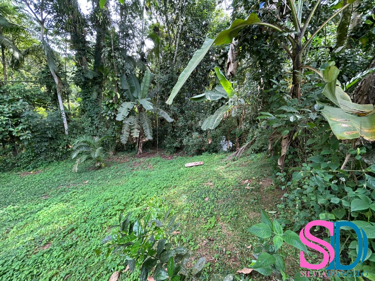 Terreno, 600 m² - Foto 9