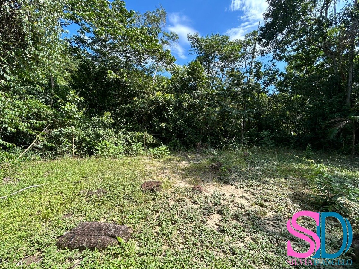 Terreno, 1500 m² - Foto 4