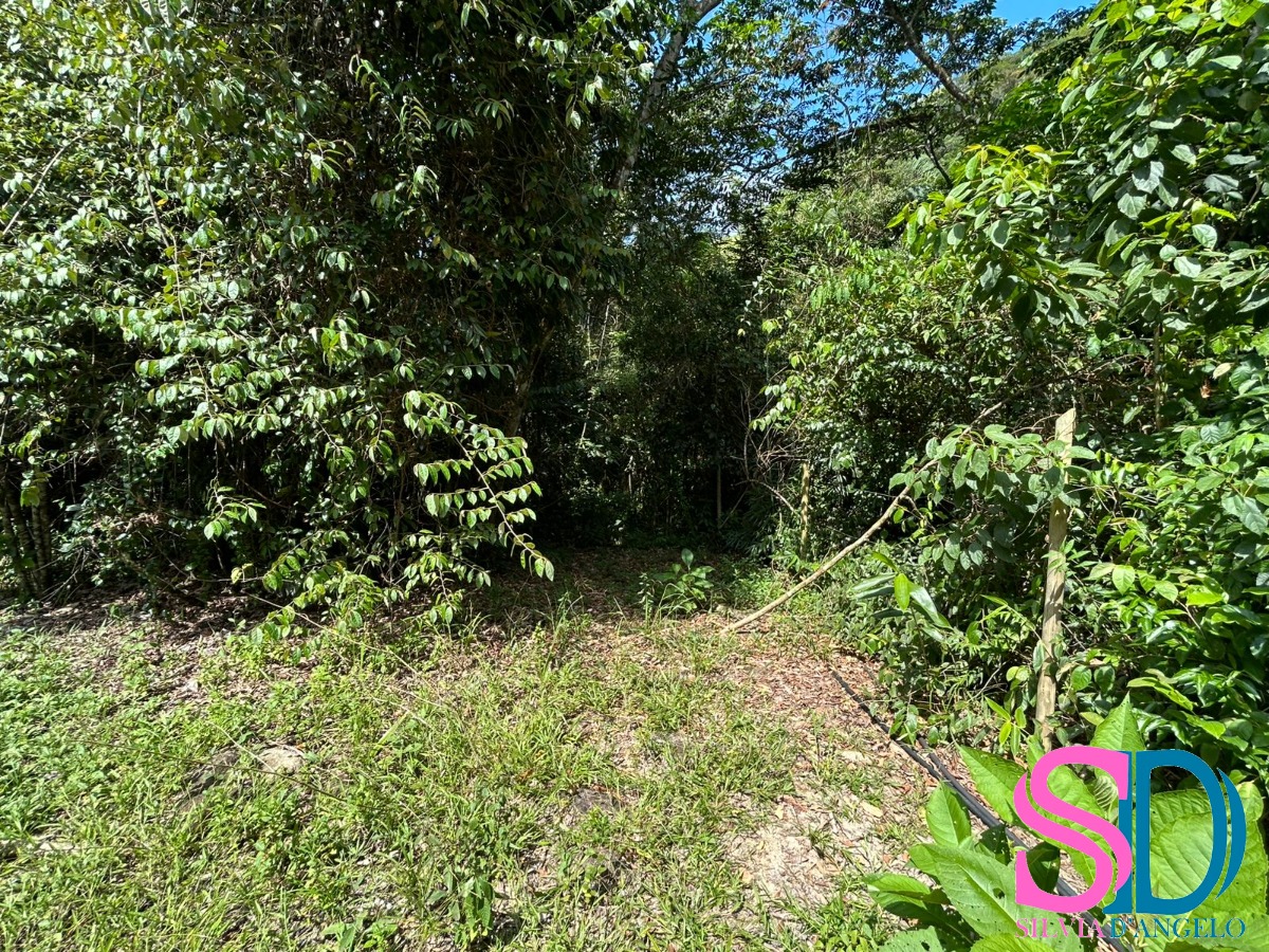 Terreno, 1500 m² - Foto 2