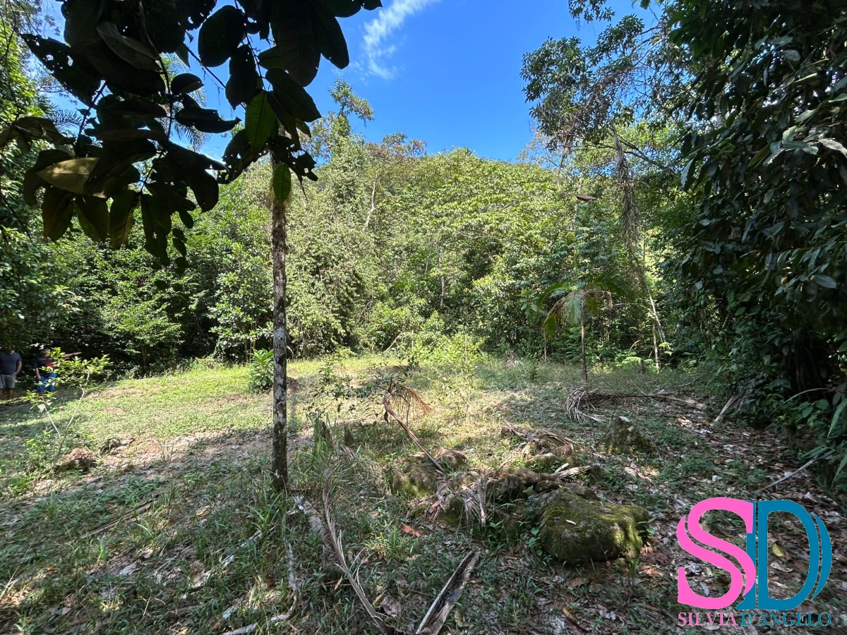 Terreno, 1500 m² - Foto 7