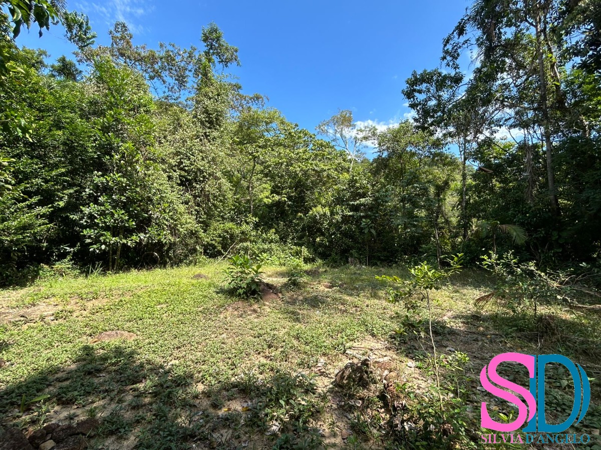 Terreno, 1500 m² - Foto 3