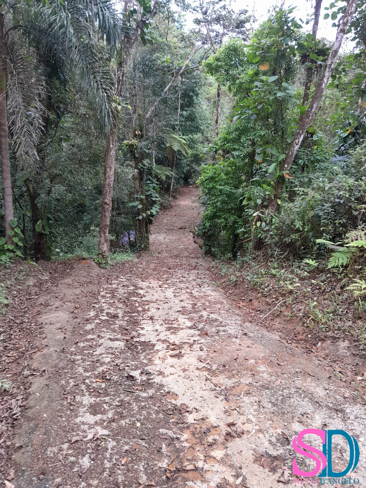 Terreno, 1 hectares - Foto 11