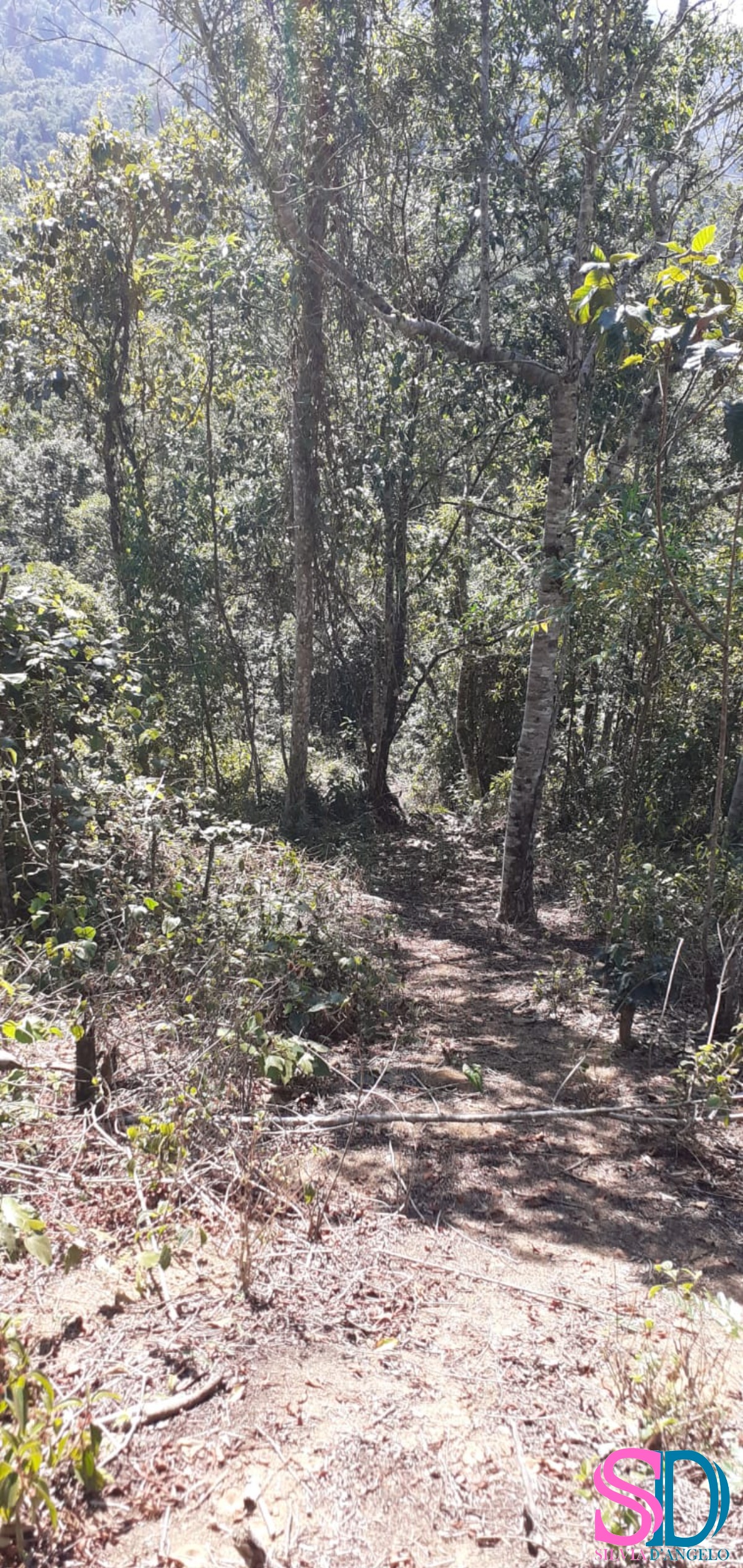 Terreno, 1 hectares - Foto 10