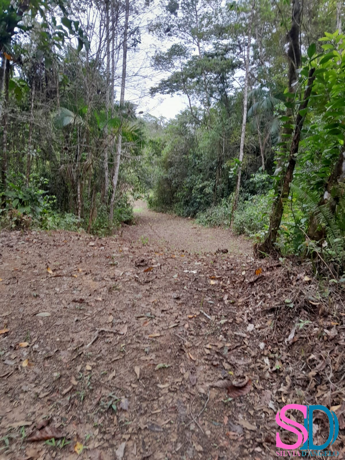 Terreno, 1 hectares - Foto 15