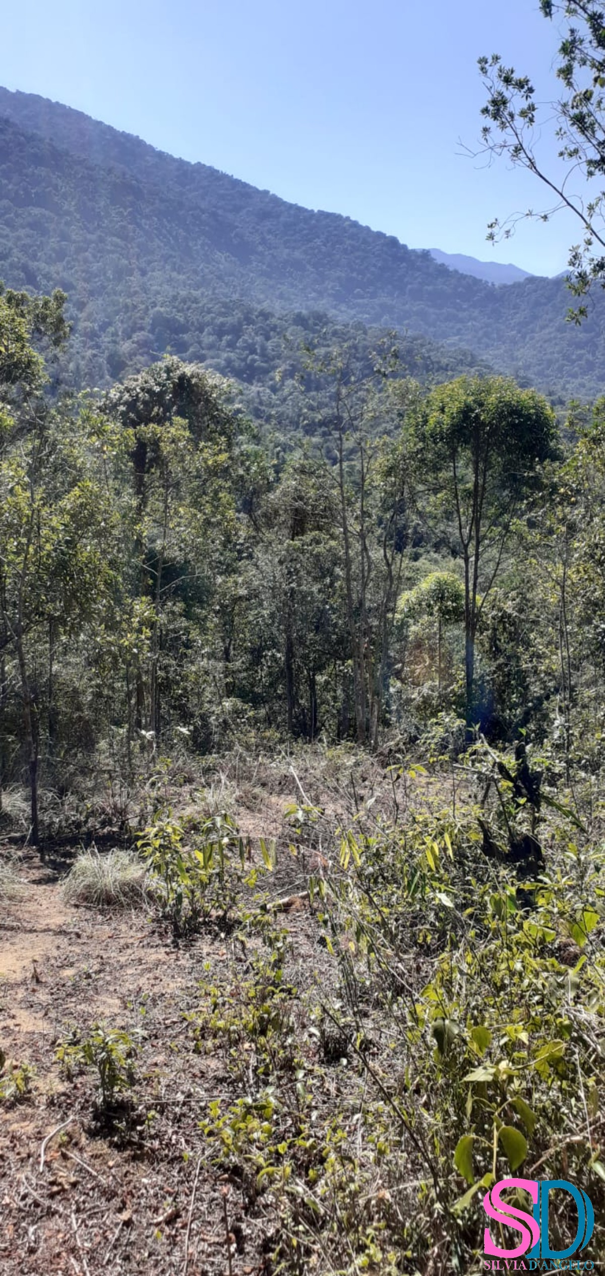 Terreno, 1 hectares - Foto 4