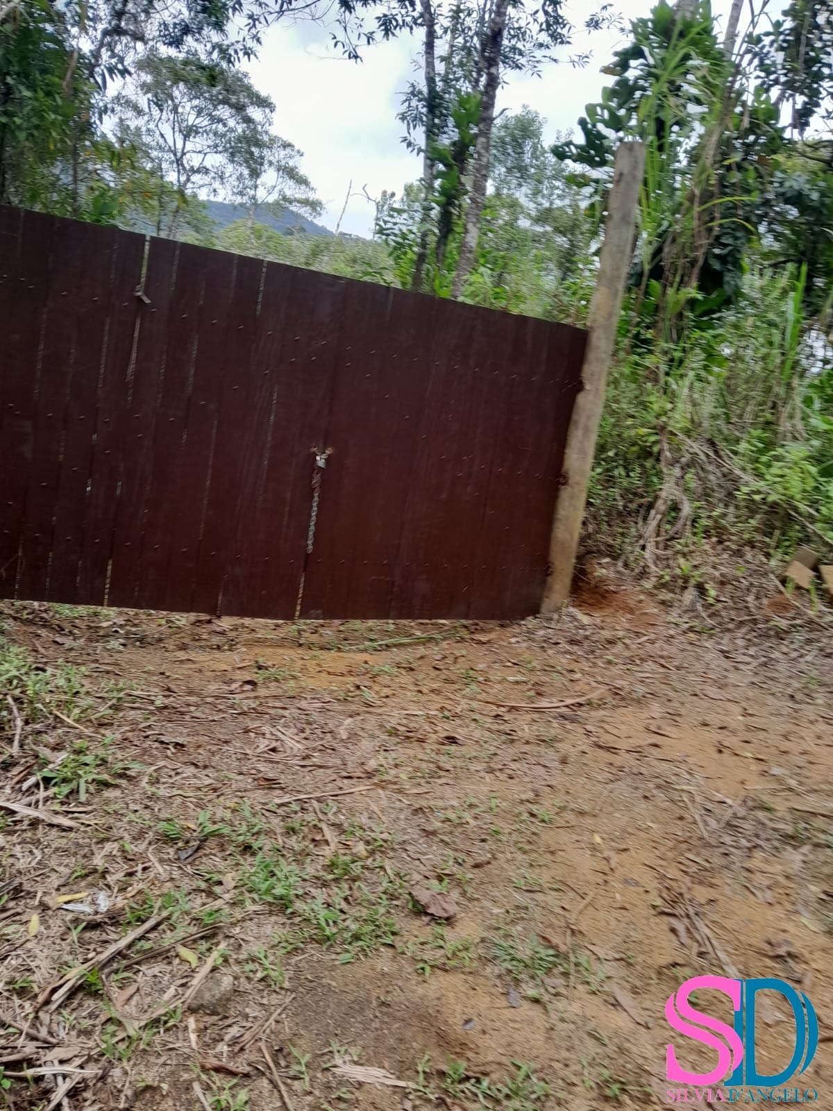 Terreno, 1 hectares - Foto 14