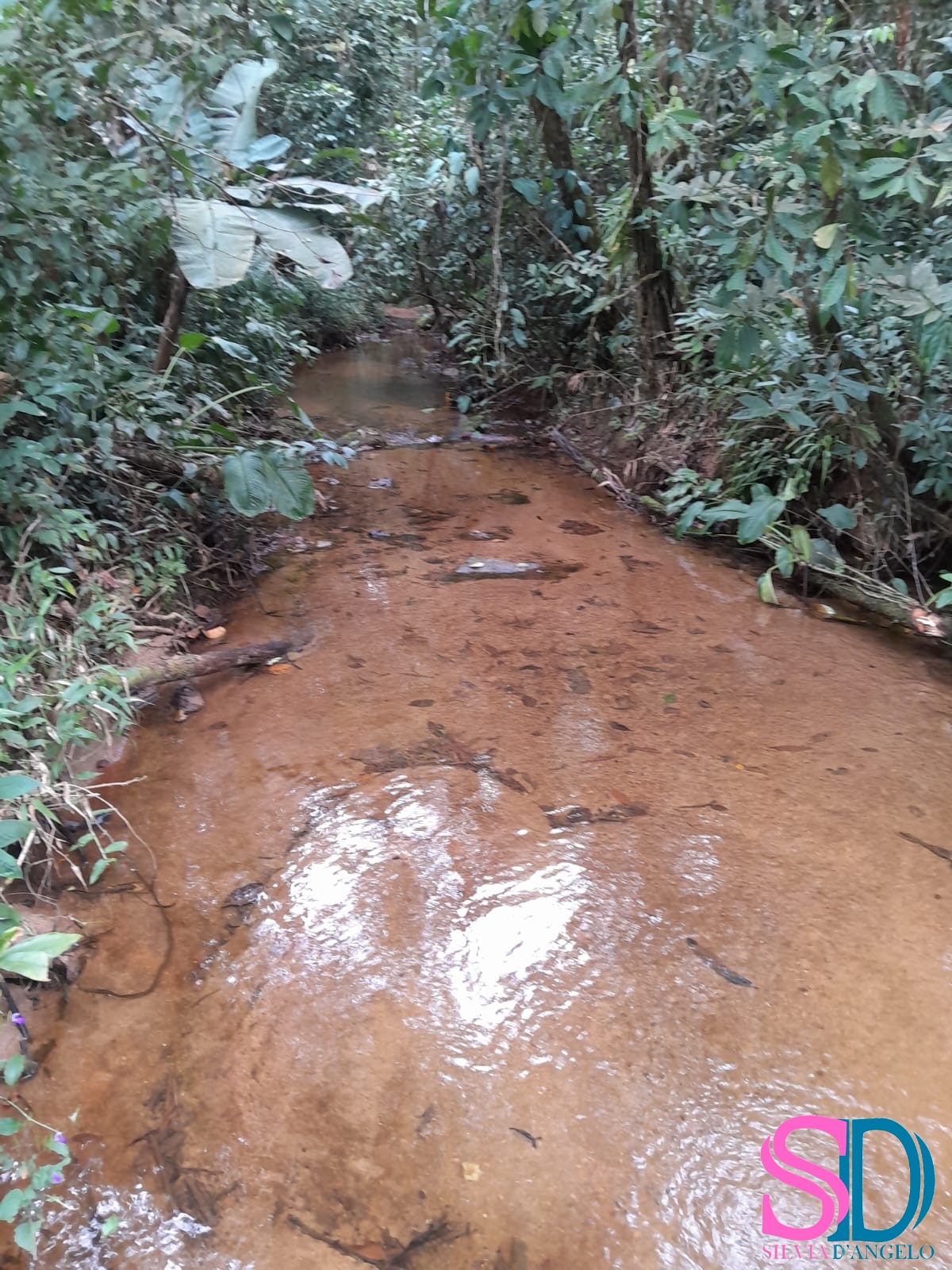 Terreno, 1 hectares - Foto 12