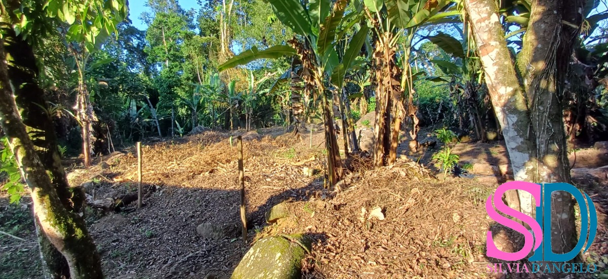 Terreno, 400 m² - Foto 5