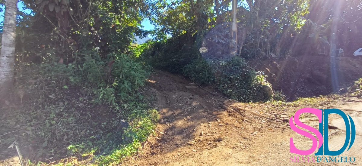Terreno, 247 m² - Foto 5