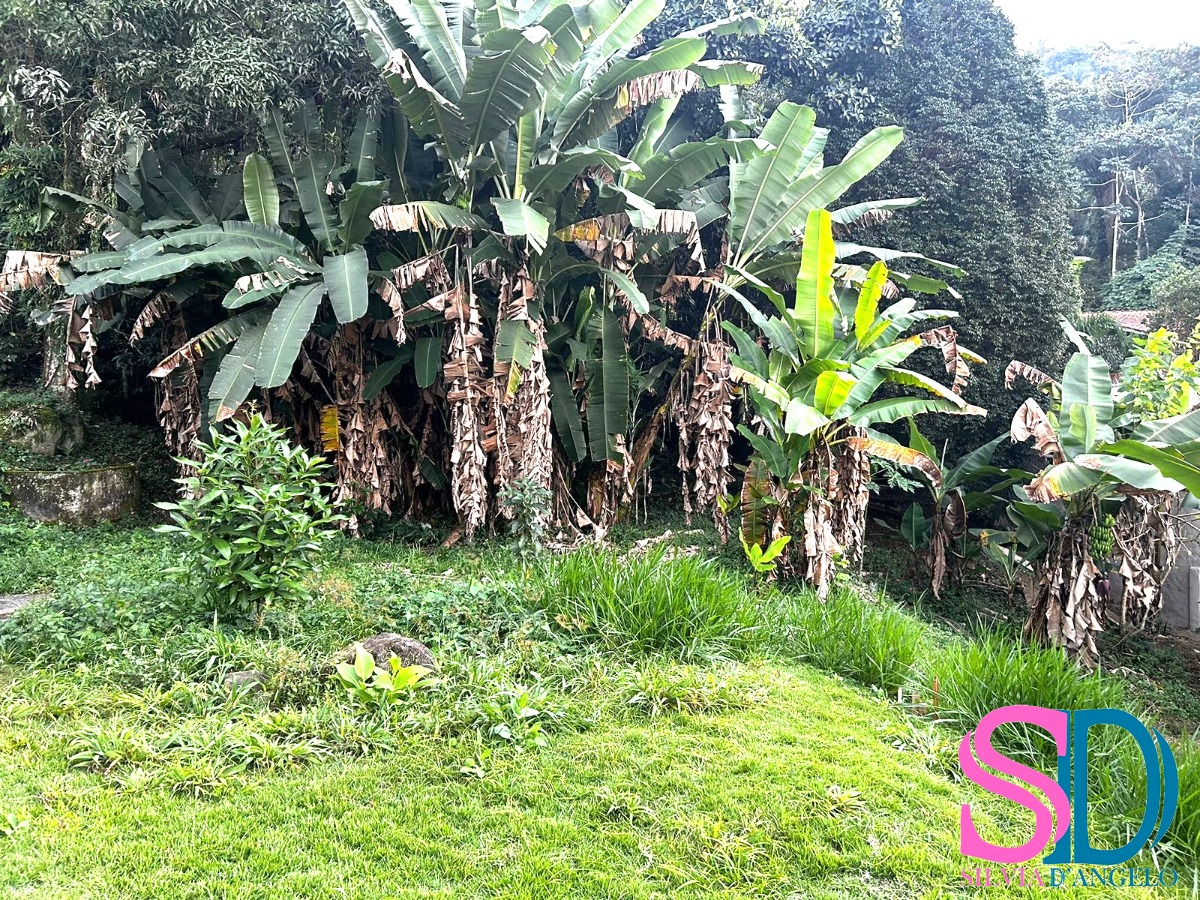 Terreno à venda, 500m² - Foto 5