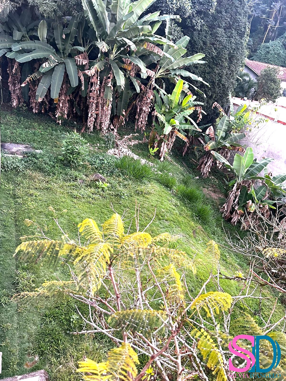 Terreno à venda, 500m² - Foto 3