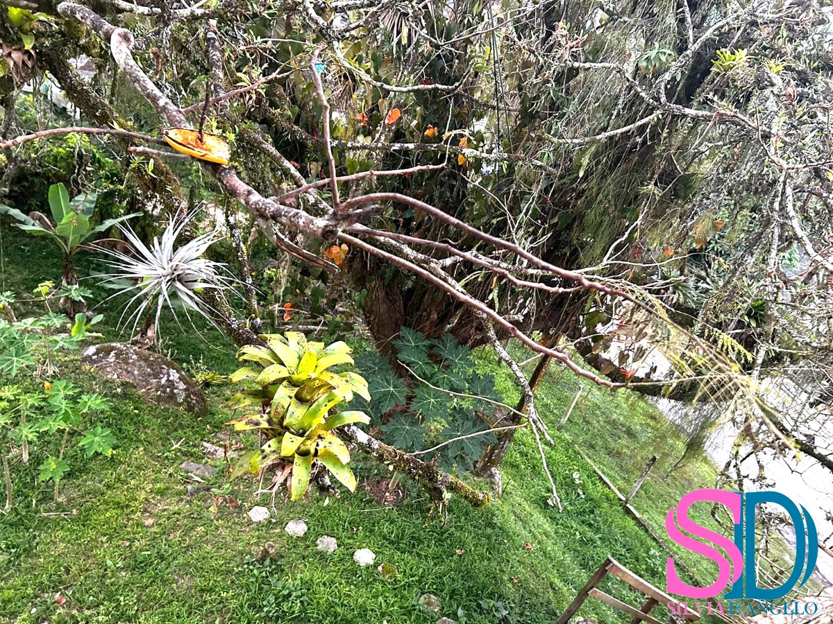 Terreno à venda, 500m² - Foto 2